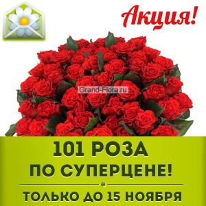 101 роза по акции