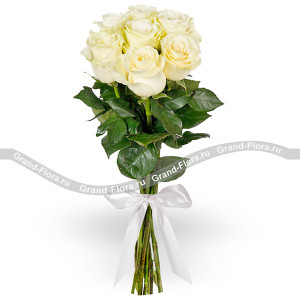 7 белых роз (70 см)