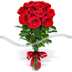 11 красных роз (70см)