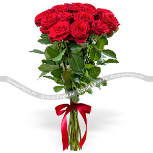 15 красных роз (70см)